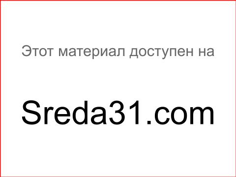 Работа с ячейками в Excel - Компьютерные курсы Среда 31